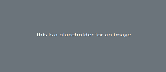 placeholder for an image